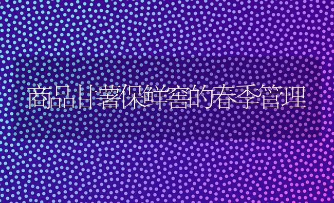 商品甘薯保鲜窖的春季管理 | 养殖知识