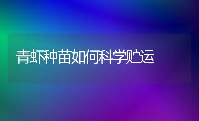 青虾种苗如何科学贮运 | 养殖知识