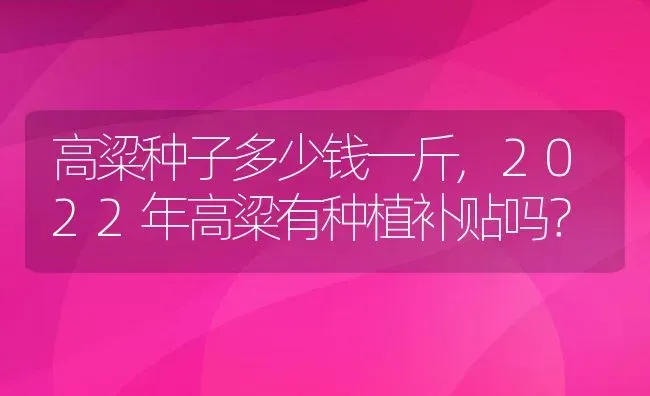 高粱种子多少钱一斤,2022年高粱有种植补贴吗？ | 养殖科普