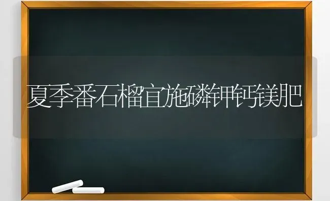 夏季番石榴宜施磷钾钙镁肥 | 养殖技术大全