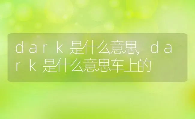 dark是什么意思,dark是什么意思车上的 | 养殖资料