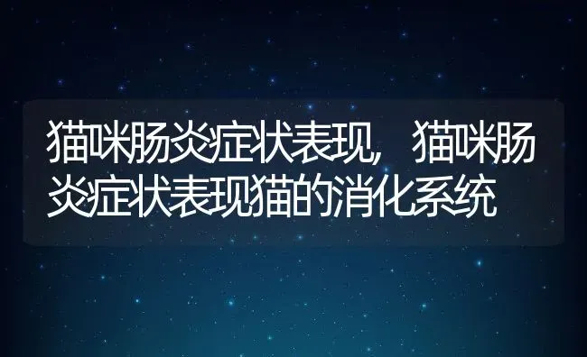 猫咪肠炎症状表现,猫咪肠炎症状表现猫的消化系统 | 养殖资料