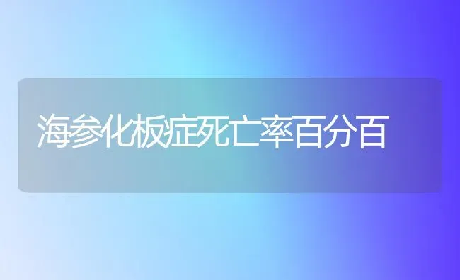 海参化板症死亡率百分百 | 养殖知识