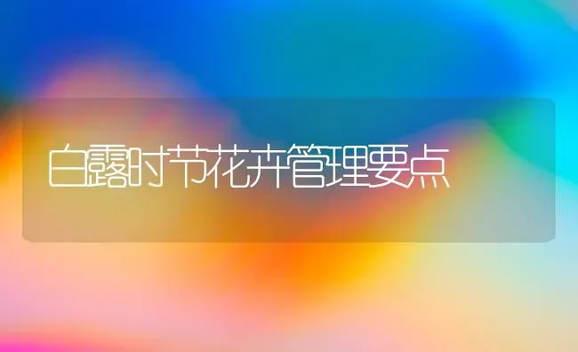 白露时节花卉管理要点 | 养殖知识