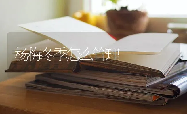 杨梅冬季怎么管理 | 养殖技术大全