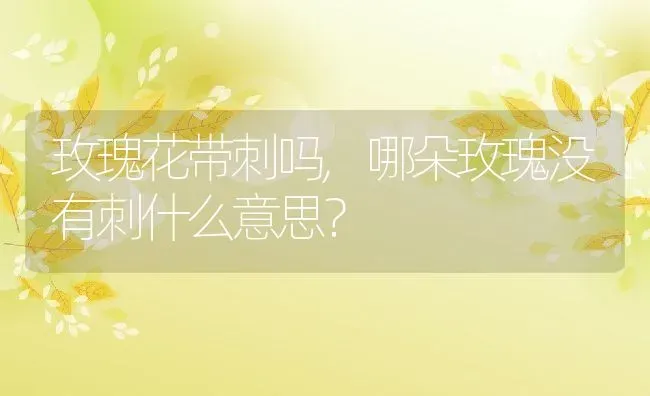 玫瑰花带刺吗,哪朵玫瑰没有刺什么意思？ | 养殖科普