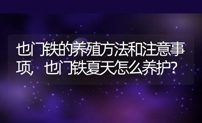 也门铁的养殖方法和注意事项,也门铁夏天怎么养护？ | 养殖科普