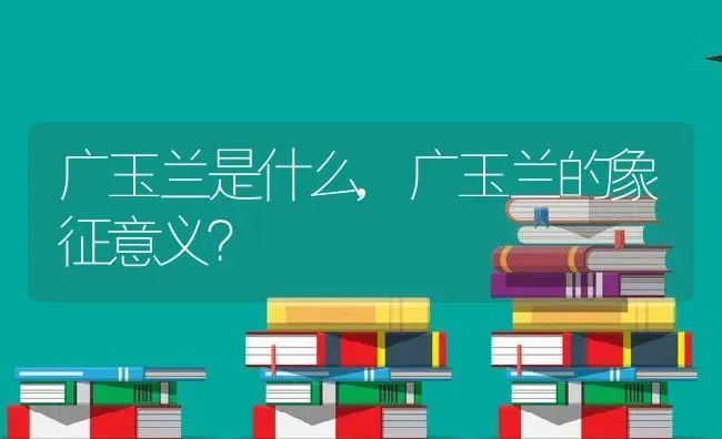 广玉兰是什么,广玉兰的象征意义？ | 养殖科普