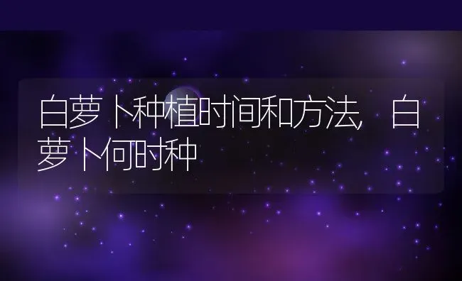 白萝卜种植时间和方法,白萝卜何时种 | 养殖学堂