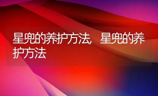 西瓜是什么作物属于葫芦科的农作物,西瓜属于什么科？ | 养殖科普