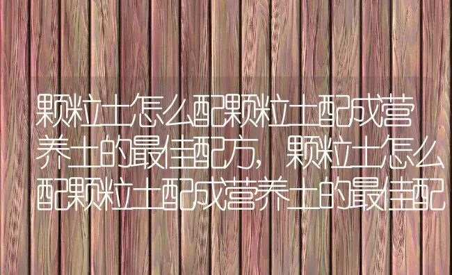 颗粒土怎么配颗粒土配成营养土的最佳配方,颗粒土怎么配颗粒土配成营养土的最佳配方 | 养殖科普