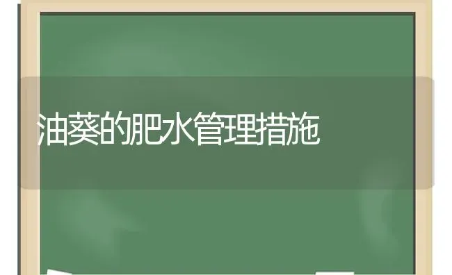 油葵的肥水管理措施 | 养殖知识