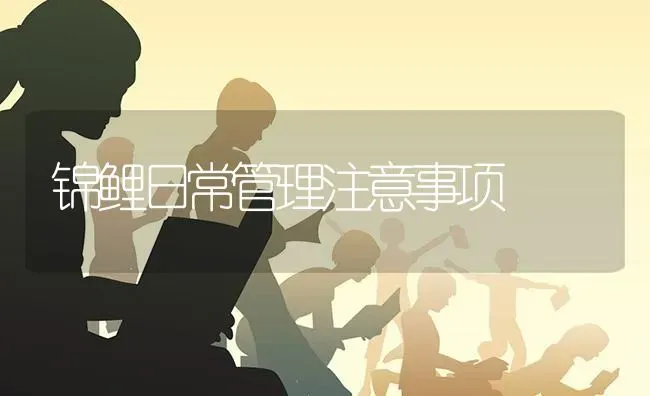 锦鲤日常管理注意事项 | 养殖技术大全