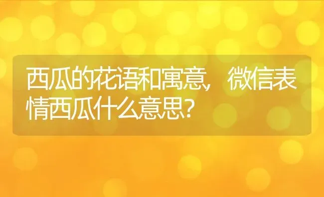 西瓜的花语和寓意,微信表情西瓜什么意思？ | 养殖科普