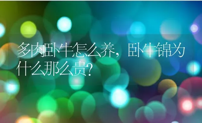 多肉卧牛怎么养,卧牛锦为什么那么贵？ | 养殖科普