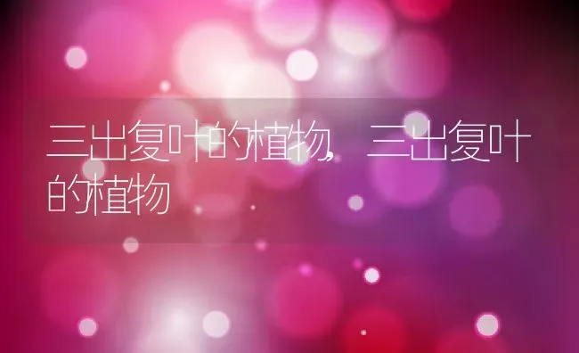 三出复叶的植物,三出复叶的植物 | 养殖科普