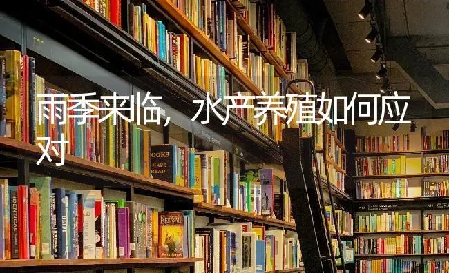 雨季来临,水产养殖如何应对 | 养殖知识
