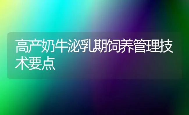 高产奶牛泌乳期饲养管理技术要点 | 养殖技术大全