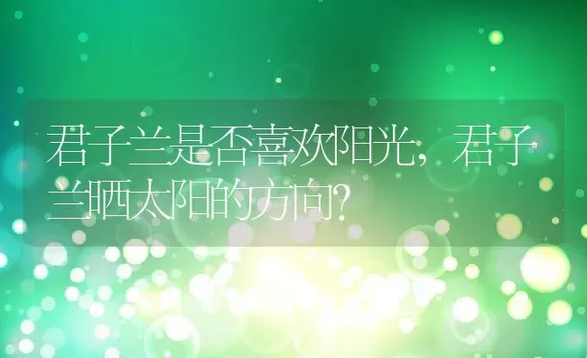 君子兰是否喜欢阳光,君子兰晒太阳的方向？ | 养殖科普