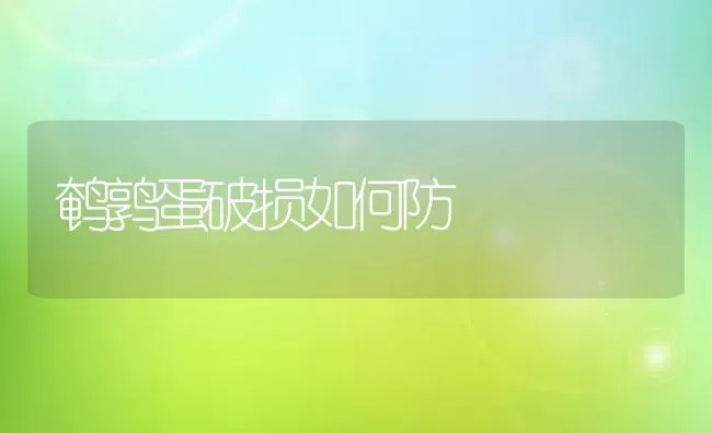 鹌鹑蛋破损如何防 | 养殖知识