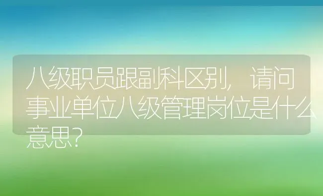 八级职员跟副科区别,请问事业单位八级管理岗位是什么意思？ | 养殖科普