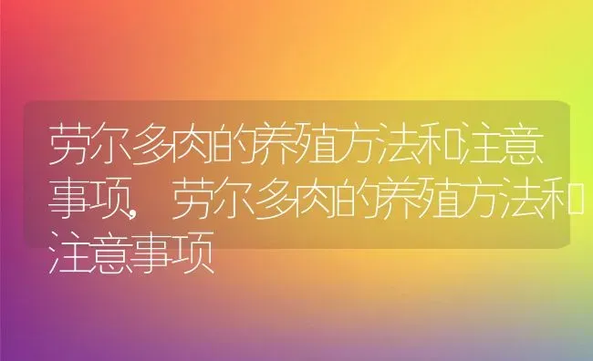 劳尔多肉的养殖方法和注意事项,劳尔多肉的养殖方法和注意事项 | 养殖科普