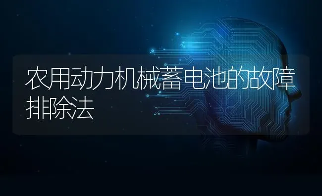 农用动力机械蓄电池的故障排除法 | 养殖技术大全