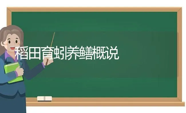 稻田育蚓养鳝概说 | 养殖技术大全