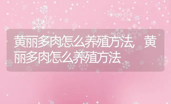 黄丽多肉怎么养殖方法,黄丽多肉怎么养殖方法 | 养殖科普