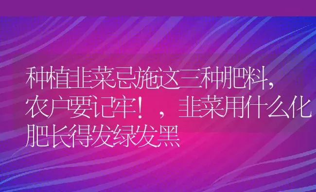 种植韭菜忌施这三种肥料,农户要记牢!,韭菜用什么化肥长得发绿发黑 | 养殖学堂