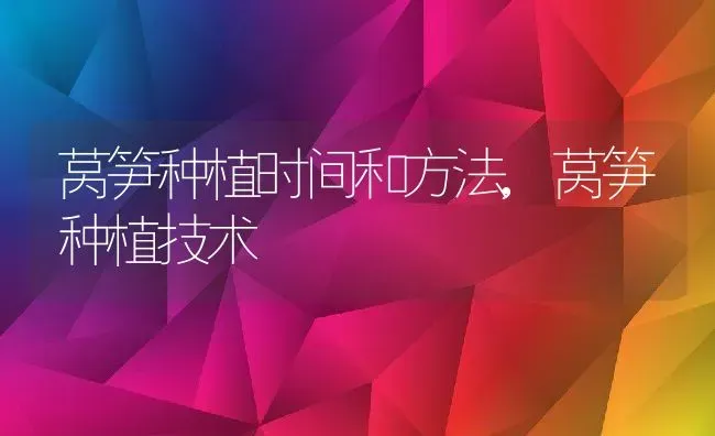 莴笋种植时间和方法,莴笋种植技术 | 养殖学堂
