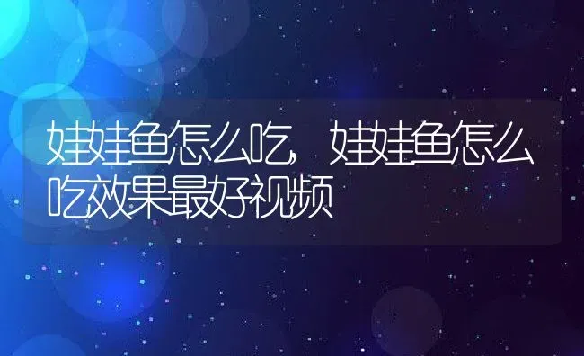 娃娃鱼怎么吃,娃娃鱼怎么吃效果最好视频 | 养殖科普