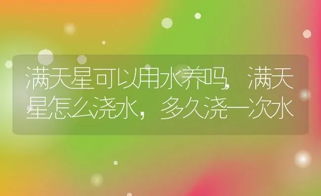 满天星可以用水养吗,满天星怎么浇水，多久浇一次水 | 养殖学堂