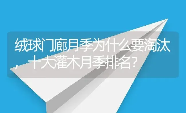 绒球门廊月季为什么要淘汰,十大灌木月季排名？ | 养殖科普