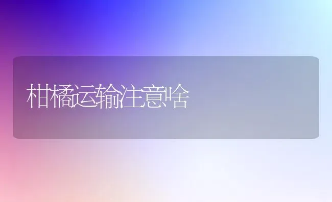 柑橘运输注意啥 | 养殖技术大全