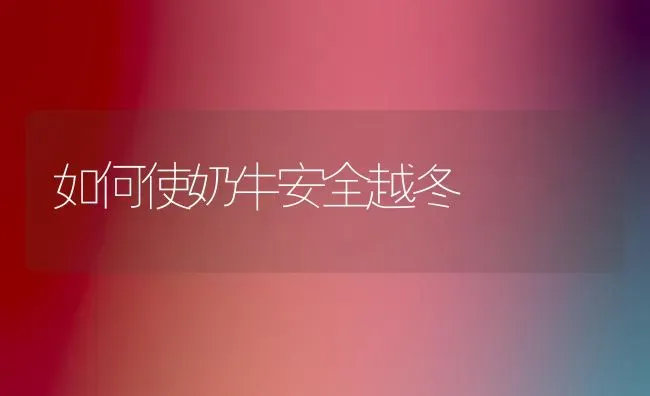 如何使奶牛安全越冬 | 养殖知识