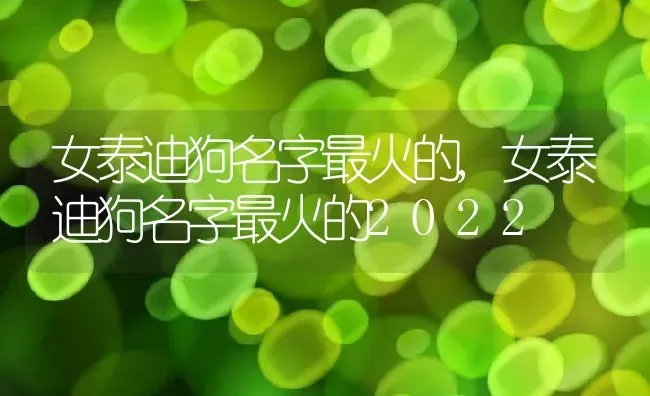 女泰迪狗名字最火的,女泰迪狗名字最火的2022 | 养殖资料