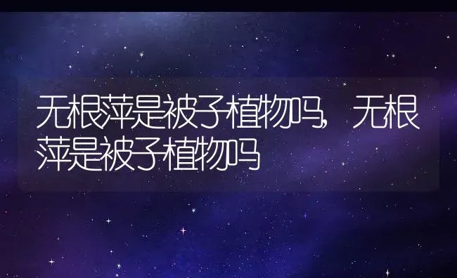 无根萍是被子植物吗,无根萍是被子植物吗 | 养殖科普