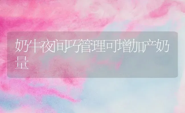 奶牛夜间巧管理可增加产奶量 | 养殖知识