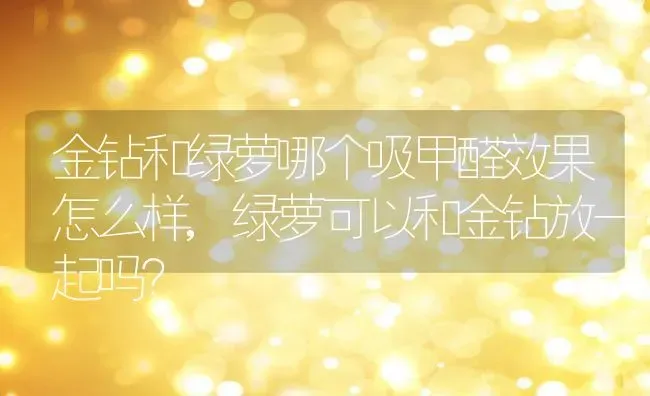 金钻和绿萝哪个吸甲醛效果怎么样,绿萝可以和金钻放一起吗？ | 养殖学堂