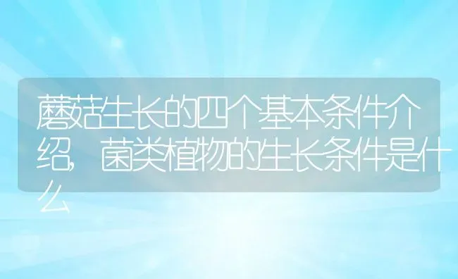 蘑菇生长的四个基本条件介绍,菌类植物的生长条件是什么 | 养殖学堂