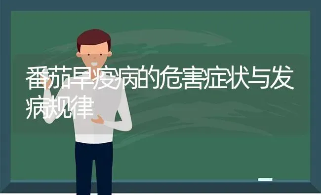 番茄早疫病的危害症状与发病规律 | 养殖知识