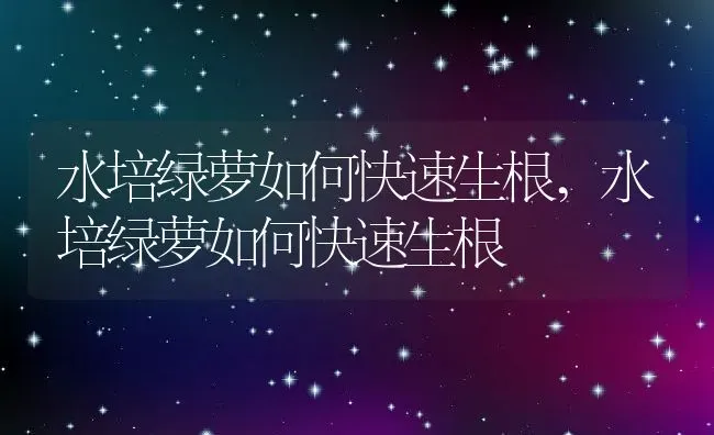 水培绿萝如何快速生根,水培绿萝如何快速生根 | 养殖科普