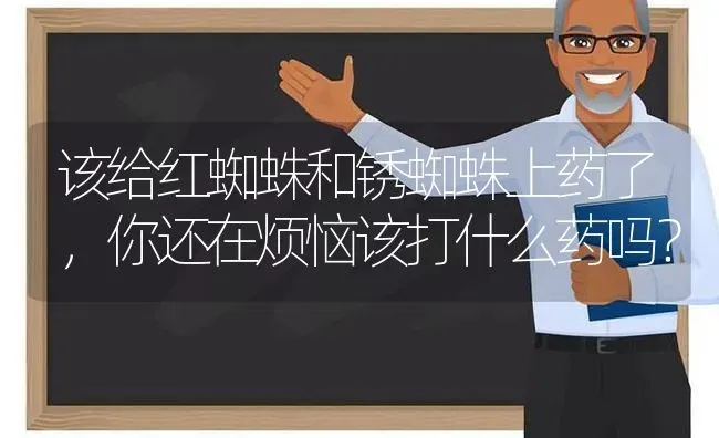 该给红蜘蛛和锈蜘蛛上药了,你还在烦恼该打什么药吗? | 养殖技术大全