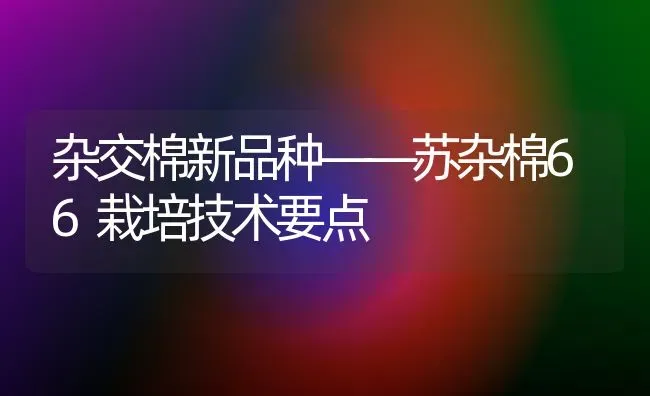 杂交棉新品种——苏杂棉66栽培技术要点 | 养殖知识