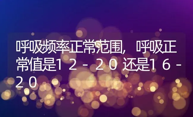呼吸频率正常范围,呼吸正常值是12-20还是16-20 | 养殖科普