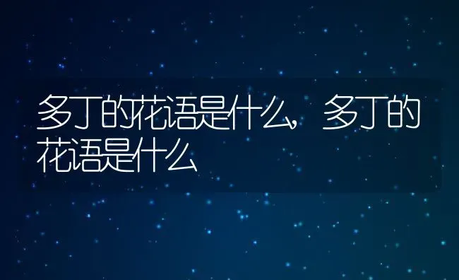 多丁的花语是什么,多丁的花语是什么 | 养殖科普