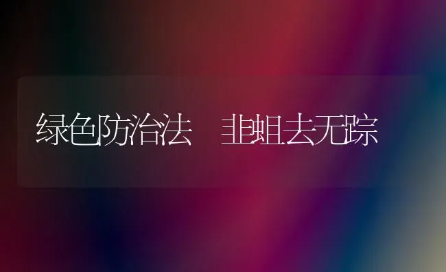 孕蝎的饲养管理 | 养殖技术大全
