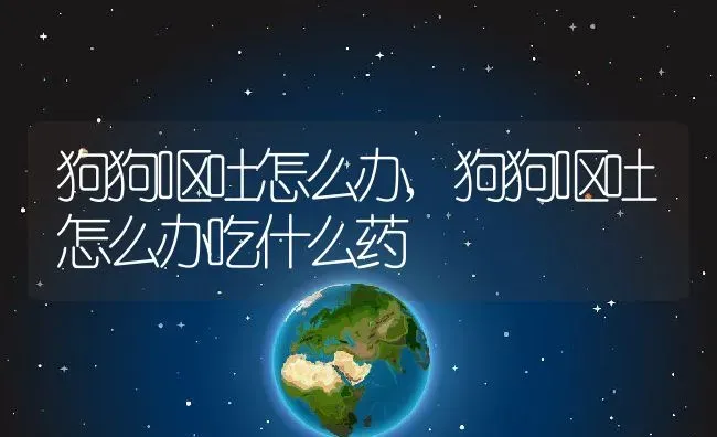 狗狗呕吐怎么办,狗狗呕吐怎么办吃什么药 | 养殖科普