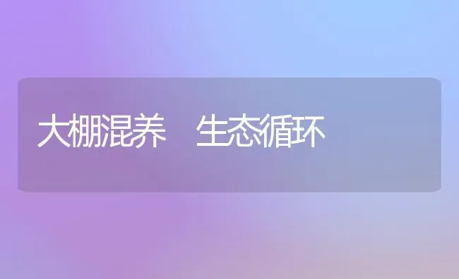 大棚混养 生态循环 | 养殖知识